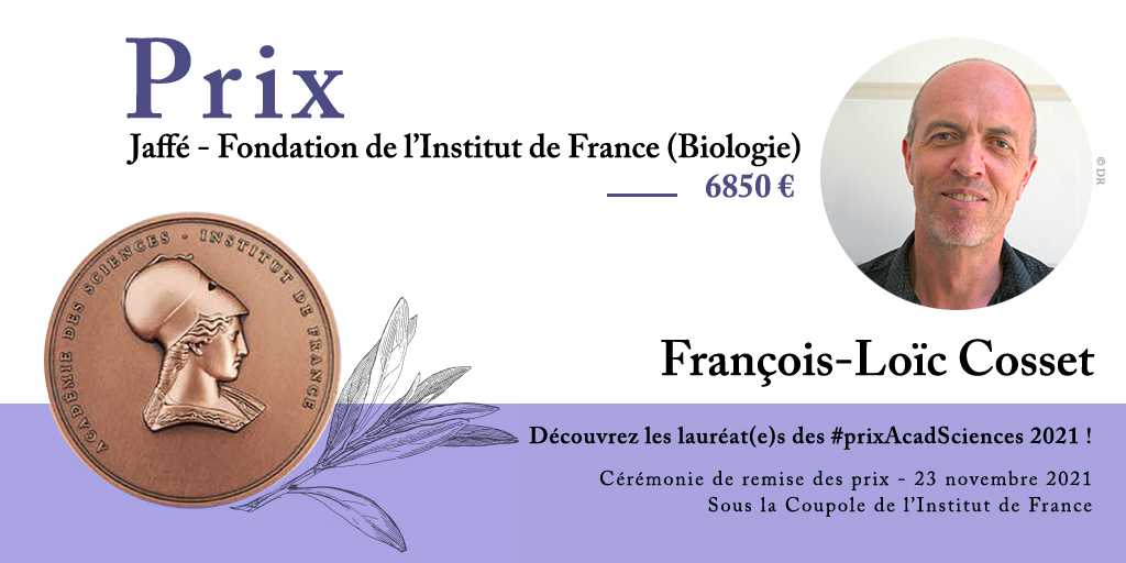 François-Loïc Cosset