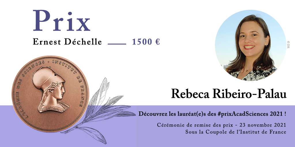 Rebeca Ribeiro-Palau