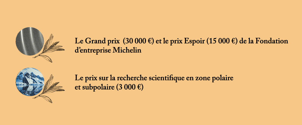 Zoom sur les nouveaux prix 2020