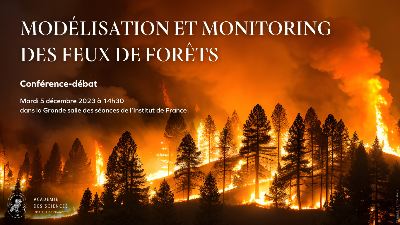 Modélisation et monitoring des feux de forêts