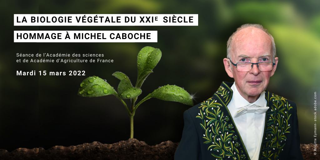La biologie végétale du XXIe siècle - Hommage à Michel Caboche