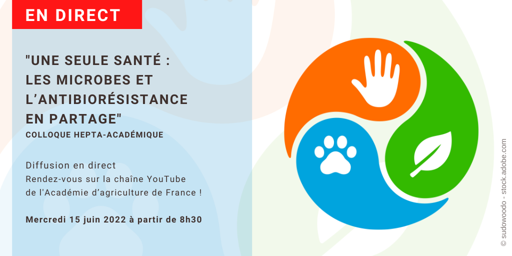À voir ou à revoir ! Une seule santé : les microbes et l’antibiorésistance en partage