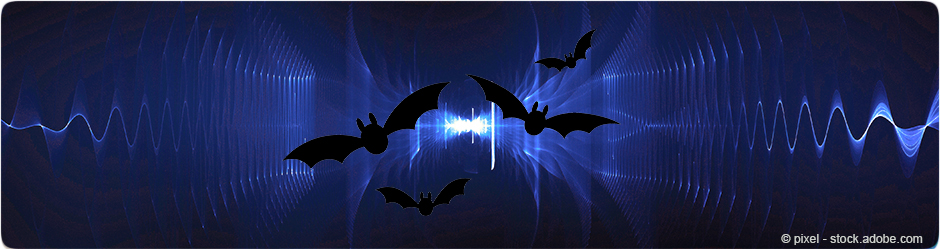 Rencontre avec Patrick Flandrin - Des signaux partout. Des chauves-souris à Internet - 5 à 7 - Cycle Rencontre avec un académicien