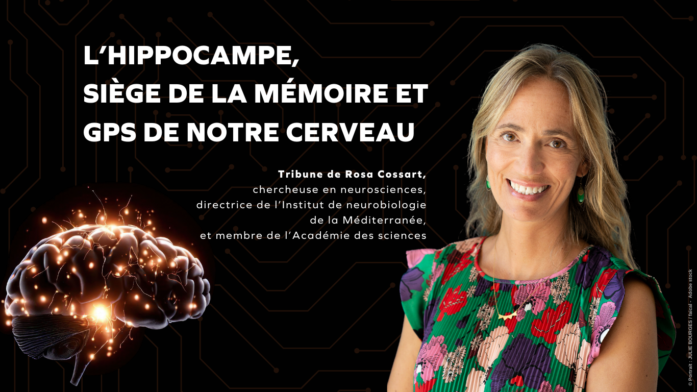 L’hippocampe, siège de la mémoire et GPS de notre cerveau - Rosa Cossart - L'HUMANITÉ MAGAZINE