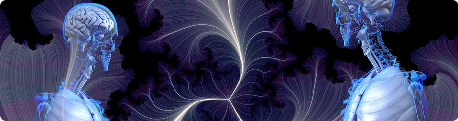 Imagerie médicale : le corps en transparence